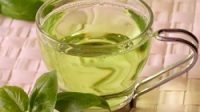 Khasiat dan Manfaat Teh Hijau Untuk Kesehatan