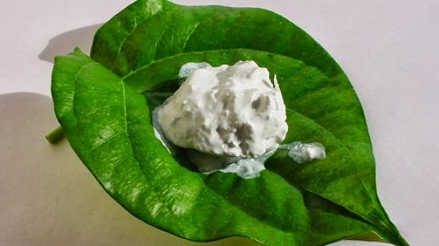 Manfaat Kapur Sirih
